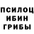 Псилоцибиновые грибы мицелий Sarath W