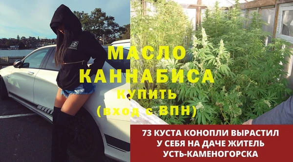ешки Верхний Тагил
