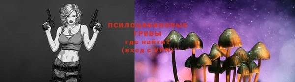 ешки Верхний Тагил