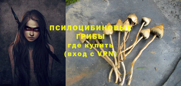 ешки Верхний Тагил