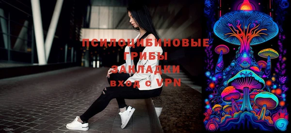 ешки Верхний Тагил