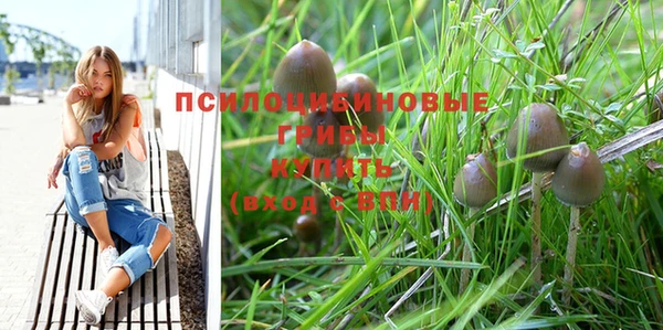 ешки Верхний Тагил