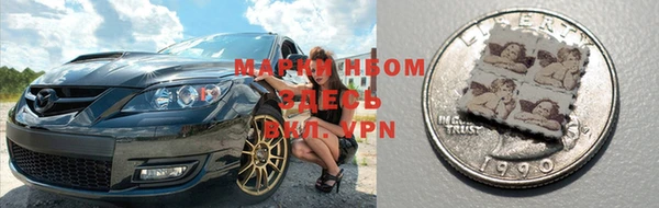 прущие грибы Верхнеуральск